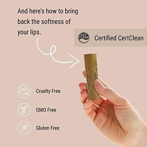 Chapstick Lip Balm Lip Moisturizer For Dry & Chapped Lips 100% Organic Lip Balm For Soft And Shiny Lips Cute And Portable Lip Care Balm for Kids and Women's With Bamboo Packaging (Orange)