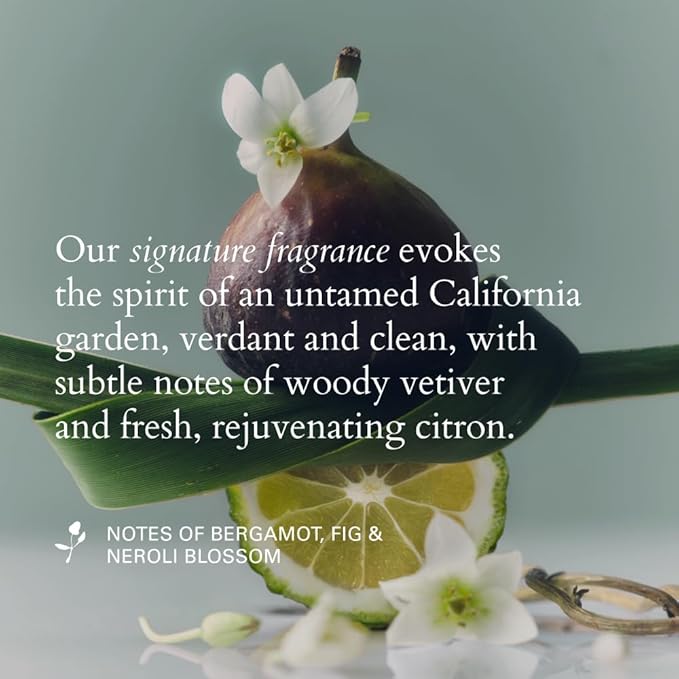 RŌZ Santa Lucia Styling Oil - Lightweight, Nourishing Hair Oil, a Foundation for Daily Styling, Frizz Control and Shine - Heat Protectant, Vegan, for All Hair Types - 2 Fl.Oz / 60 ml