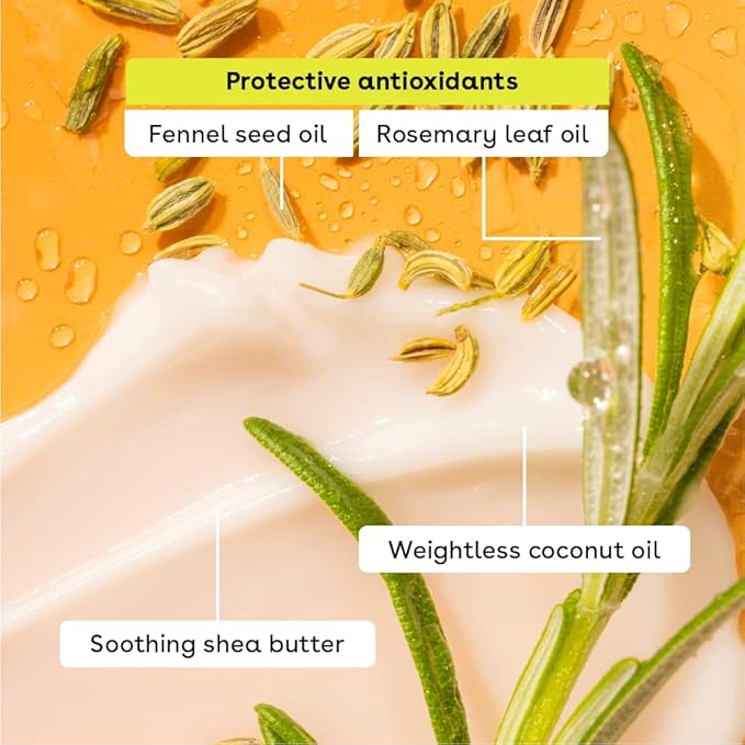 eos 100% Natural & Organic Lip Balm Sticks- Vanilla Bean, All-Day Moisture, Dermatologist Recommended, 0.14 oz, 2-Pack