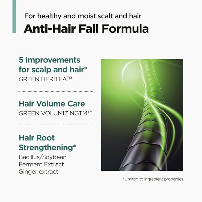 AMOS PROFESSIONAL The Green Tea Shampoo Refresh for Thinning Hair, Korean Shampoo for Oily Scalp l Deep Cleans, Strengthening Hair, All Hair Types, 16.9 fl.oz