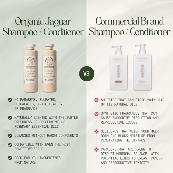 Natural Shampoo for Hair Care, Sulfate Free Shampoo with Castor Oil, Honeysuckle, Glycerin, Aloe Vera & Mild Thickening Agent, Dry to Color Treated to All Hair, 13.5 fl oz