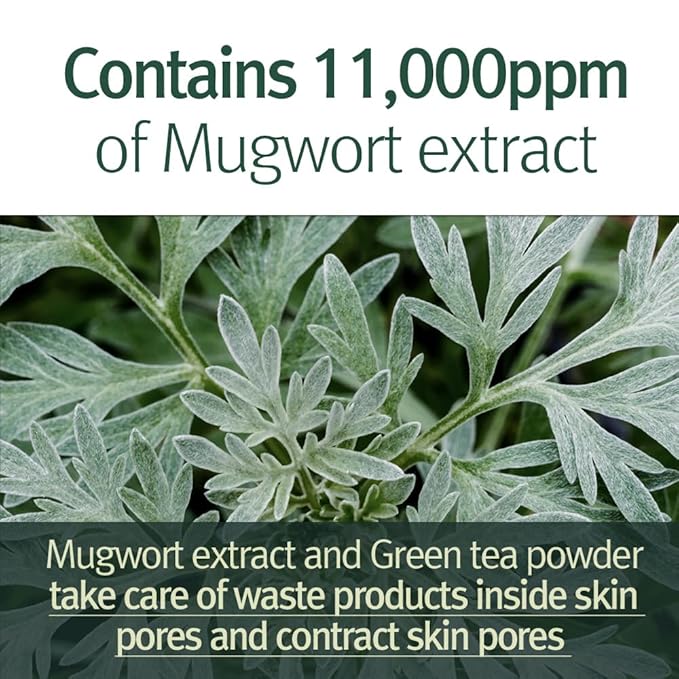 Pyunkang Yul Calming Pore Clear Wash Off Mask 100 ml