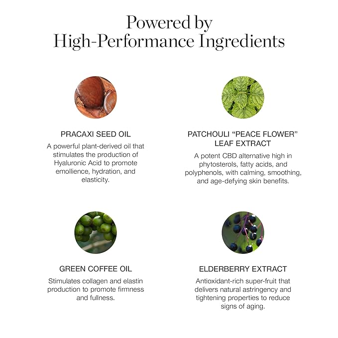 Ogee Sculpted Complexion Foundation Stick (Banyan 3.0W - Medium Light, Golden Undertones) Full Coverage Foundation Makeup - Instantly Balance & Even Complexion - 70% Organic Ingredients