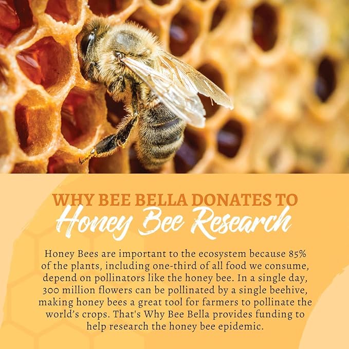 Bee Bella Lip Balm, Peppermint, 3 Pack - Hydrating, Moisturizing Lip Care, 100% Natural, Original Organic Beeswax with Vitamin E, Handmade in USA