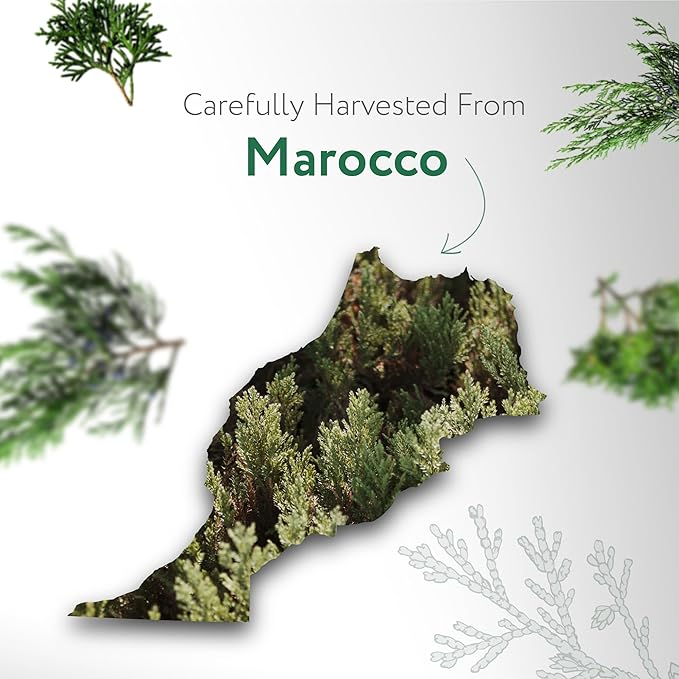 HBNO California Bottled Organic Cedarwood Essential Oil 1 fl oz (30ml) - USDA Certified Organic Cedarwood Essential Oil for Aromatherapy, Soap Making, DIY, Fragrances, Diffuser