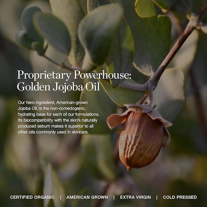 Ogee Complexion Perfecting Liquid Foundation - Lightweight Tinted Moisturizer For Face (Acacia 12.25C - Deep, Red Undertones) - with Vitamin C & Jojoba Oil - Certified Organic & Made in USA