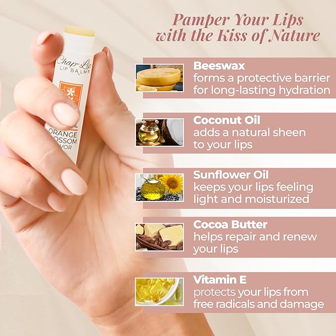 100% Natural Lip Balm Set - Hydrating and Moisturizing Beeswax Natural 4 Flavor Assortment - Lip Moisturizer for Dry Lips - Cocoa Butter - Petroleum Free Pack of 24