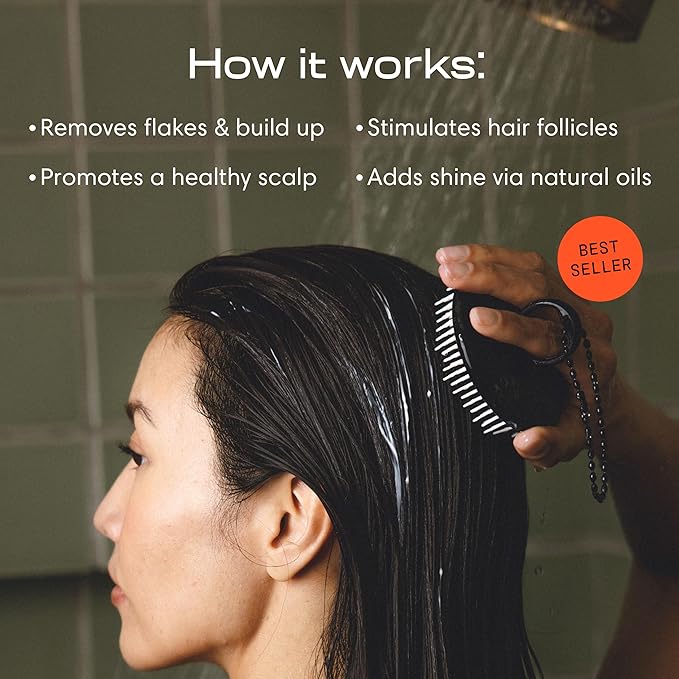 Jupiter Exfoliator Brush For Removing Dandruff & Build-Up - Detangling Scrubber For Wet or Dry Hair - Supports Circulation & Growth - For All Hair Types - Black, 2 Pack