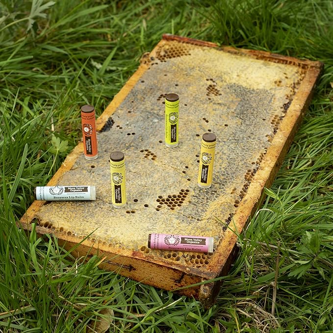 Moon Valley Organics Beeswax Lip Balm for Moisturizing Lips and Cuticles (JUICY BLACKBERRY, 1-Pack)