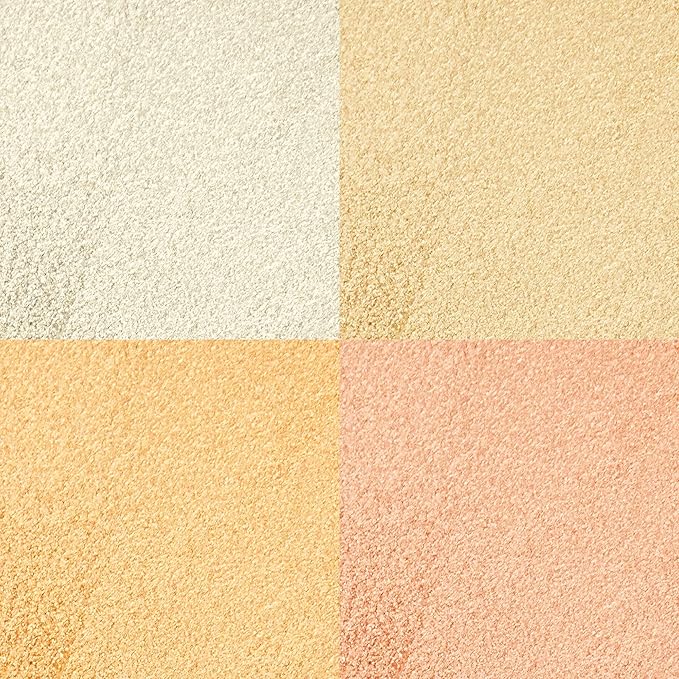 Carter Beauty Mini Highlighter Palette | Long Lasting Makeup | Shimmer & Matte Shades (Blaze)